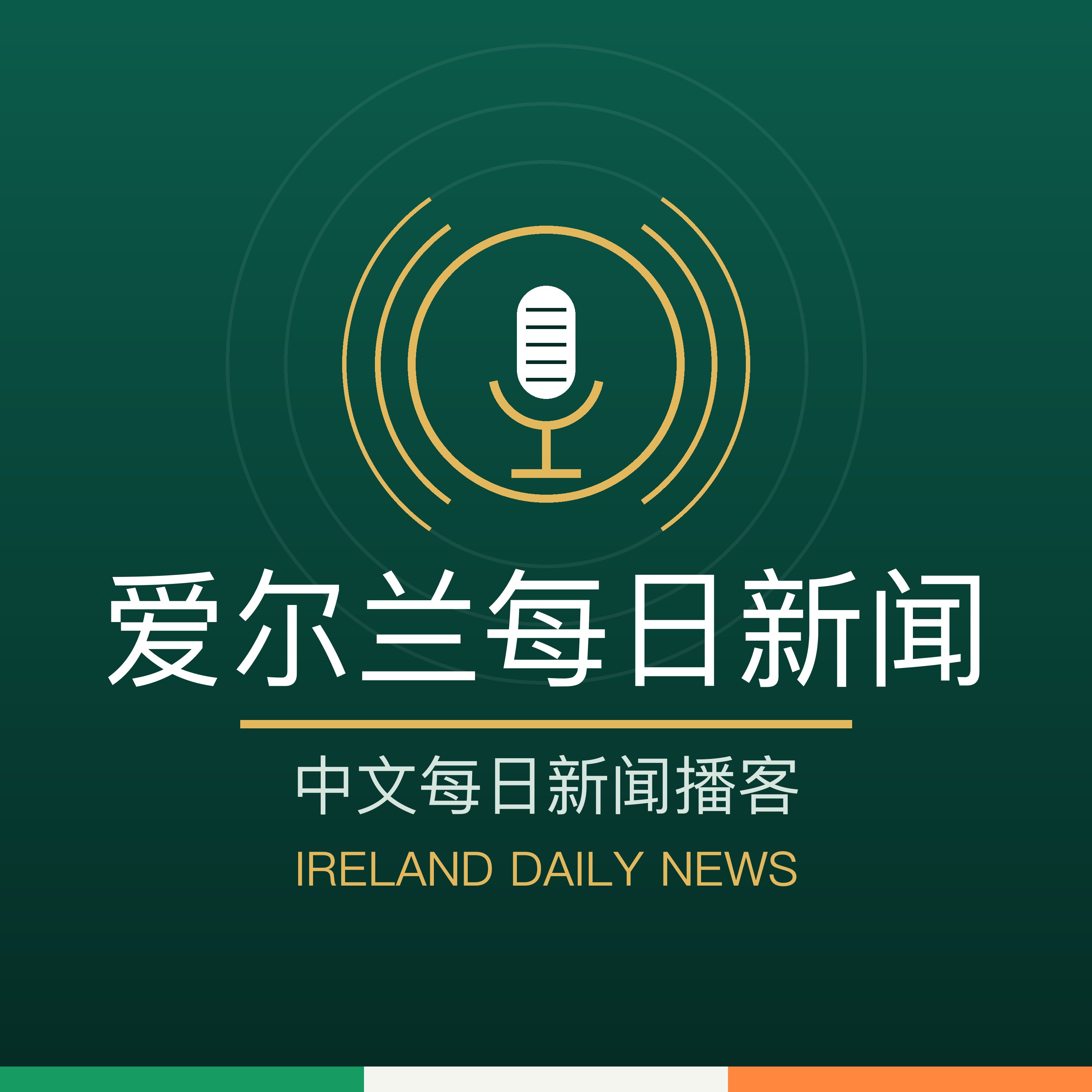 爱尔兰每日新闻